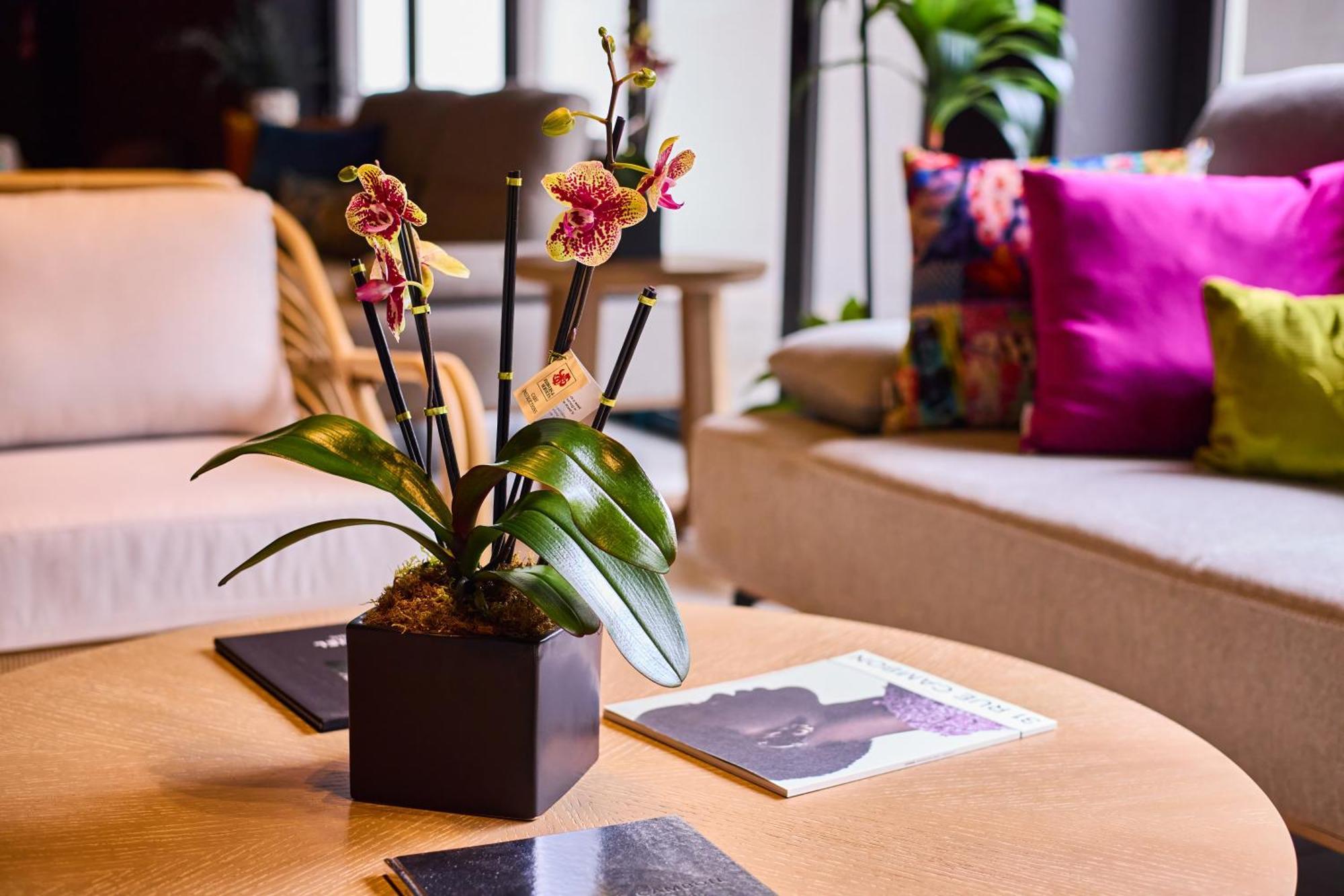 Ola Boutique Hotel San Juan Bagian luar foto